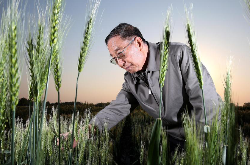 ����                                      �����͇����¡��@�������Ї��ƌWԺԭ��Ժ�L��                    